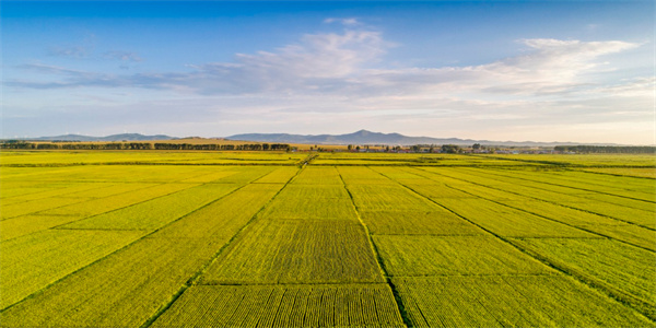 J9����-����վ����