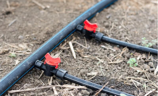 J9¼¯ÍÅ-¹ú¼ÊÕ¾¹ÙÍø