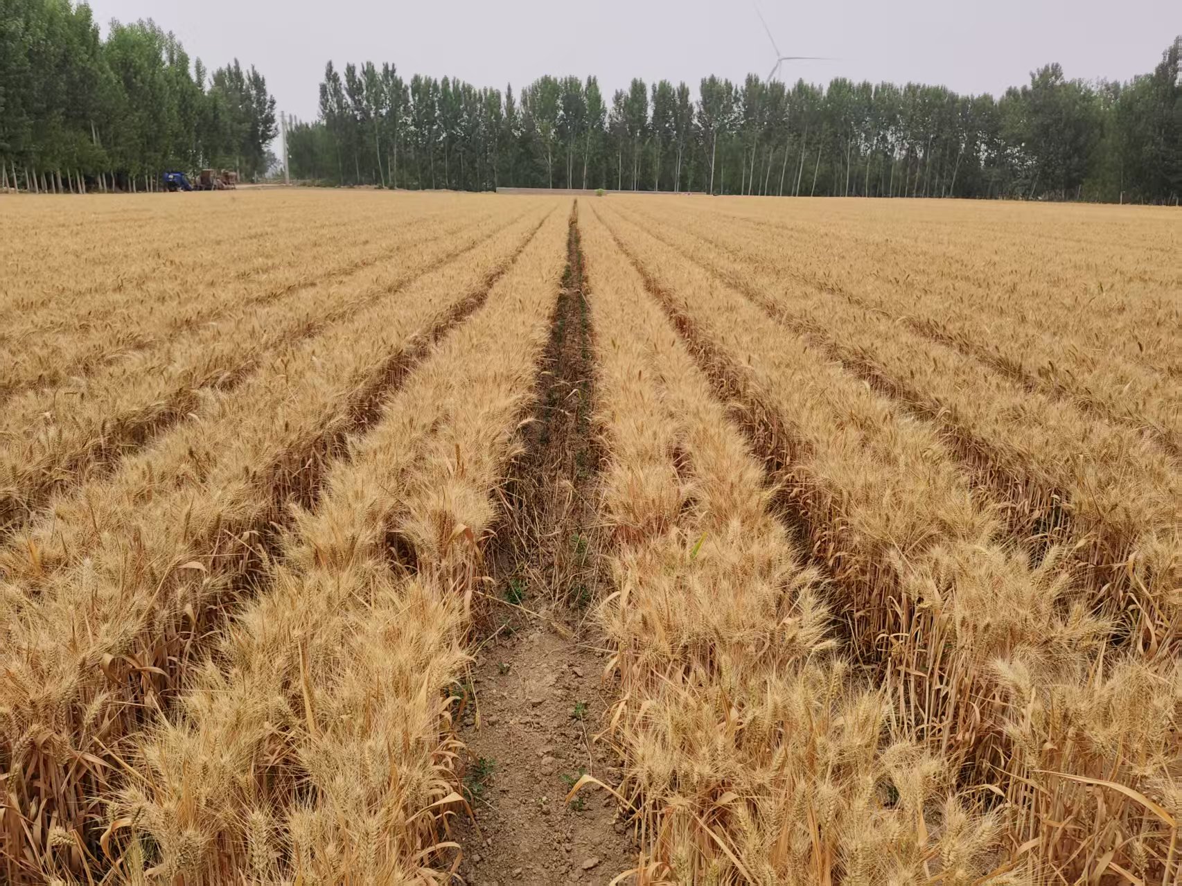 J9����-����վ����