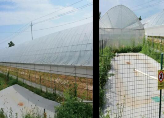 �������ƹ����弯��ˮˮ��һ�廯����������������������ˮ������