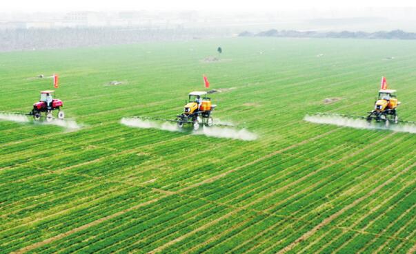 2021�ǻ�ũҵ��������������������