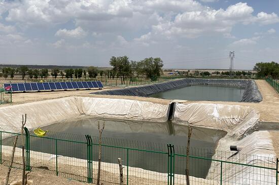 �����ص��ƽ�����ˮ�ѣ�������������������ɺ�����