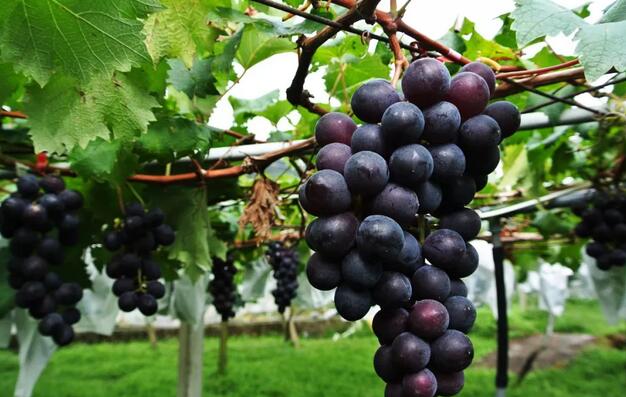 ��j9����վ�����������ι�ˮ��һ�廯������������������������߷���