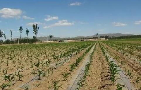 J9����-����վ����