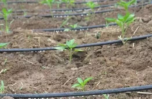 ˮ��һ�廯�Զ�����ϵͳ������������������ũ��������о�׼ˮ��