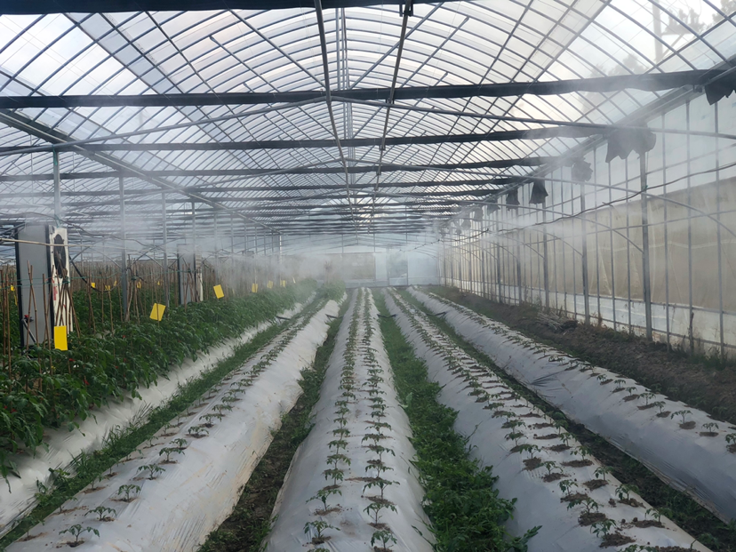 J9����-����վ����