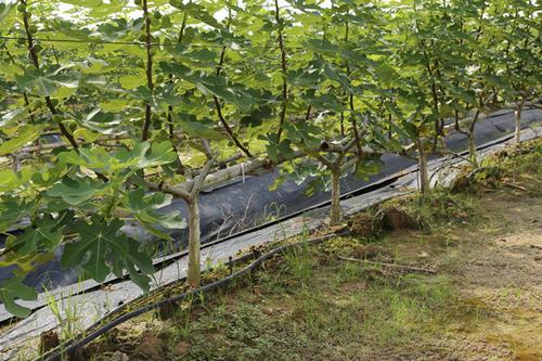 J9����-����վ����