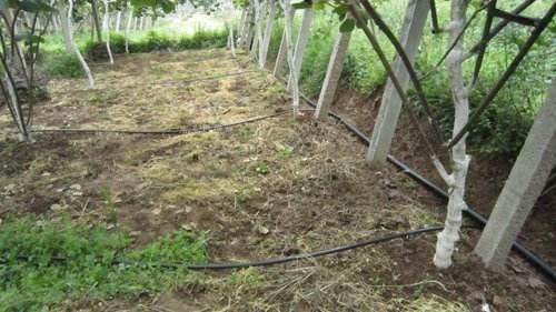 J9����-����վ����