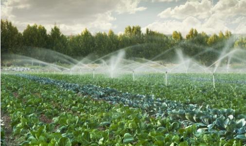 J9����-����վ����