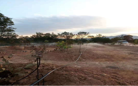 J9����-����վ����