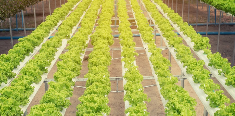 J9����-����վ����