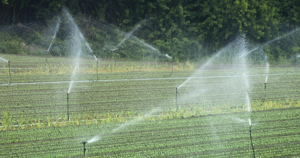 J9����-����վ����