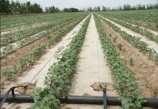 J9¼¯ÍÅ-¹ú¼ÊÕ¾¹ÙÍø