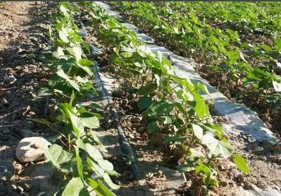 J9¼¯ÍÅ-¹ú¼ÊÕ¾¹ÙÍø