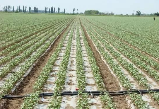 J9¼¯ÍÅ-¹ú¼ÊÕ¾¹ÙÍø