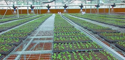 J9����-����վ����