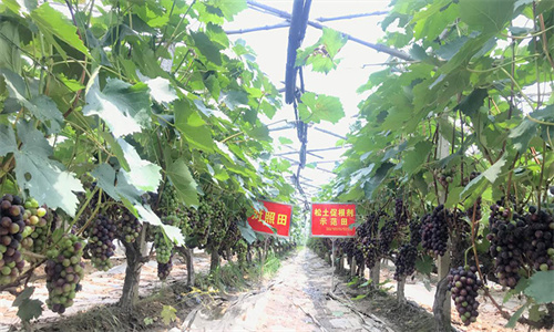 J9����-����վ����