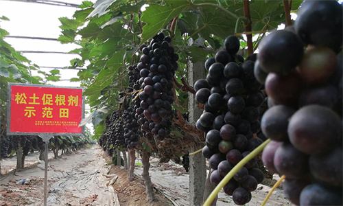 J9����-����վ����