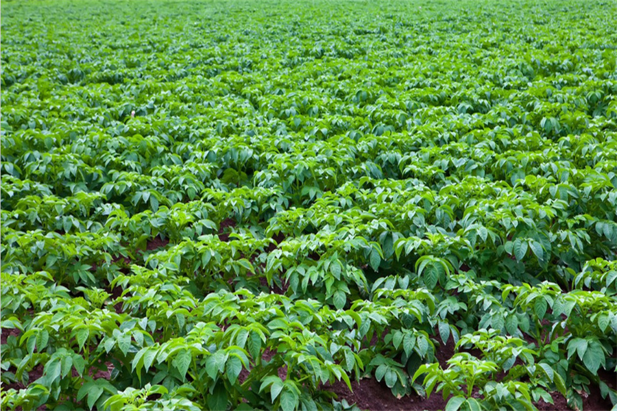 J9����-����վ����