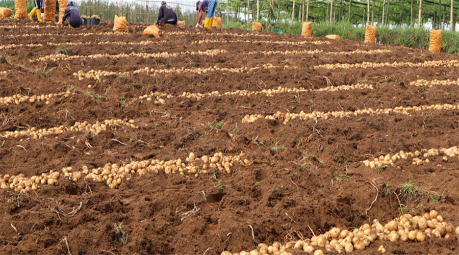 J9集团-国际站官网