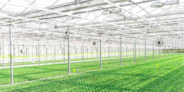 J9����-����վ����