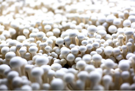 J9����-����վ����