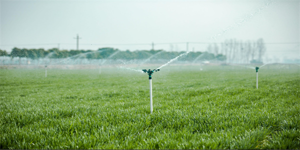 J9����-����վ����