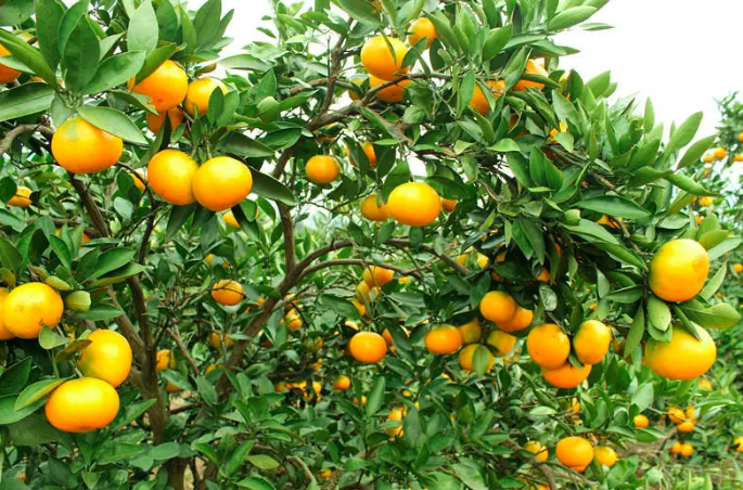 J9����-����վ����