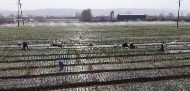 J9����-����վ����