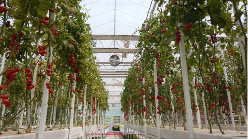 J9����-����վ����