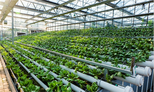 J9����-����վ����