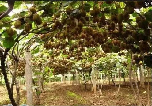 J9����-����վ����