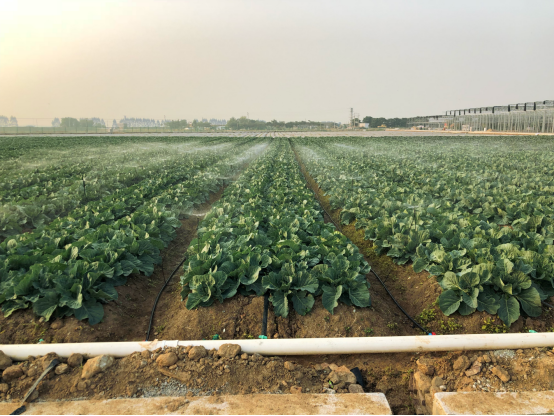 J9����-����վ����