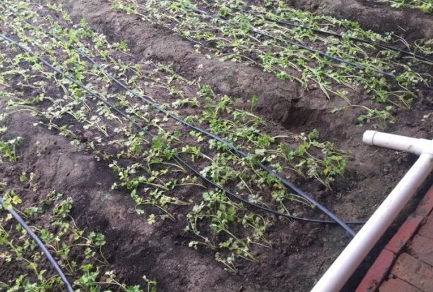 J9����-����վ����