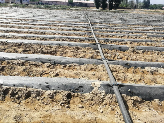 J9����-����վ����