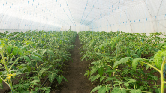 J9����-����վ����