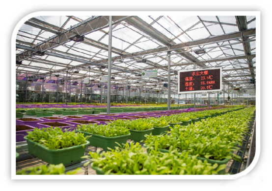 J9����-����վ����