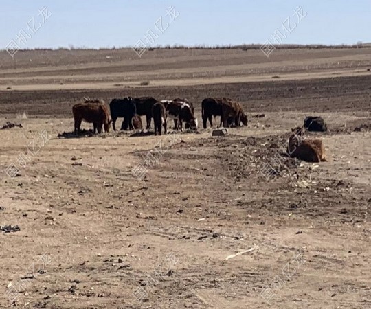 J9����-����վ����