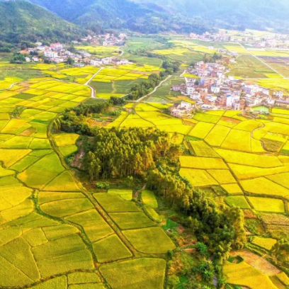 J9����-����վ����