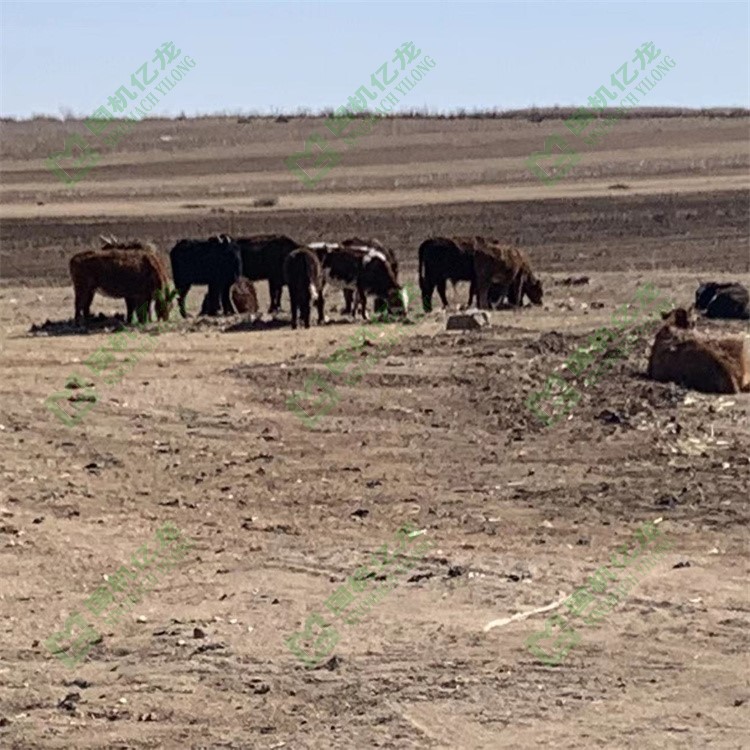 J9����-����վ����