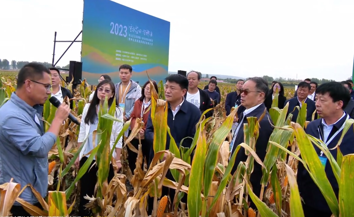 J9集团-国际站官网