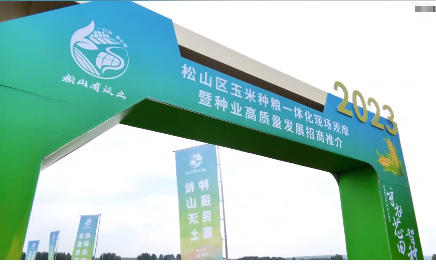 J9集团-国际站官网