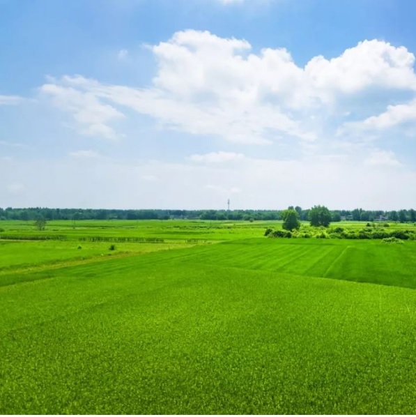 J9����-����վ����