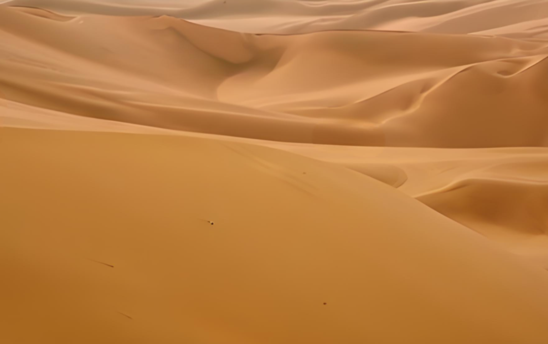 J9����-����վ����