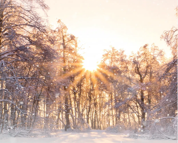 J9����-����վ����