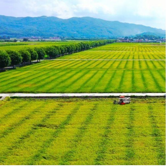 J9����-����վ����