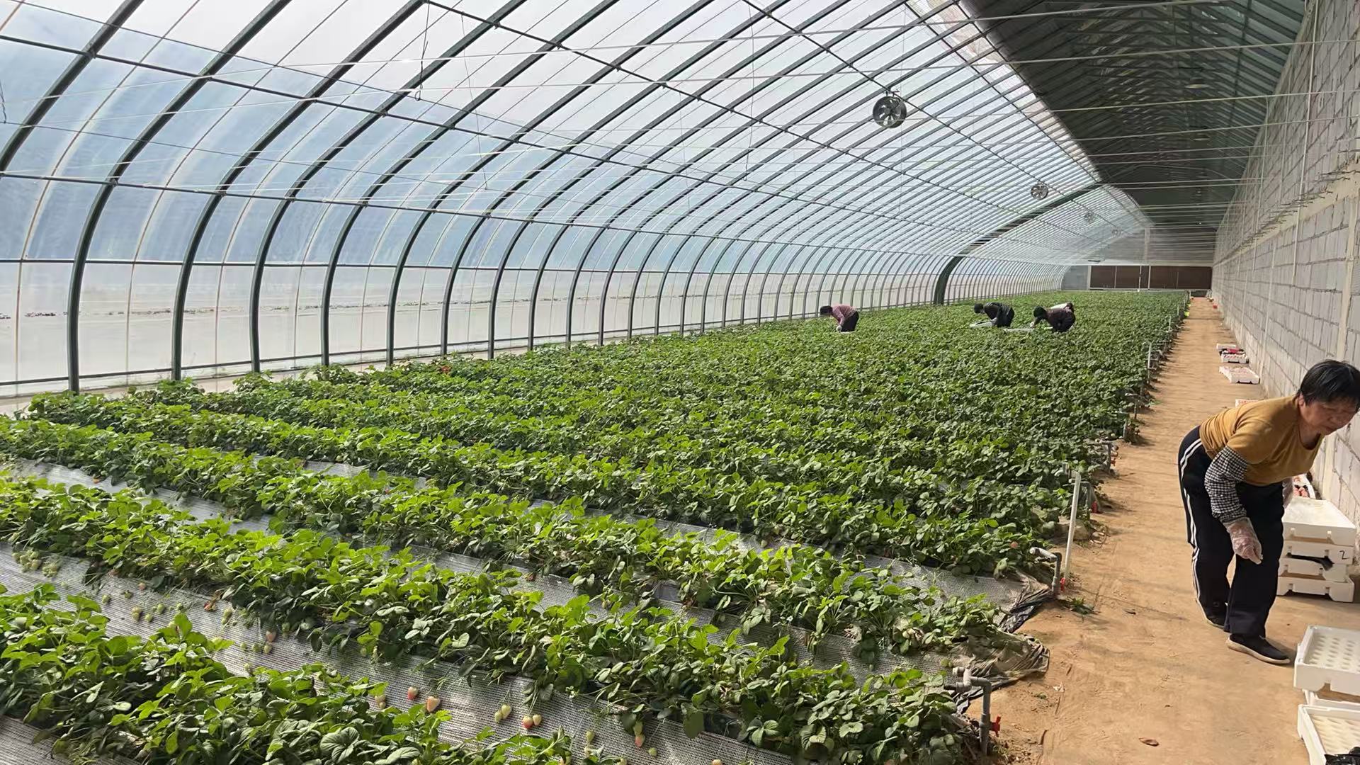 J9����-����վ����