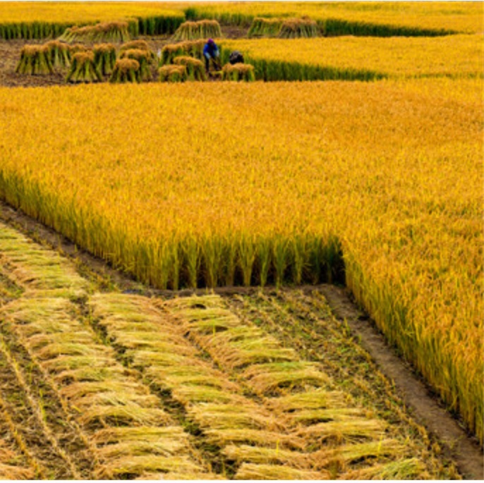 J9����-����վ����