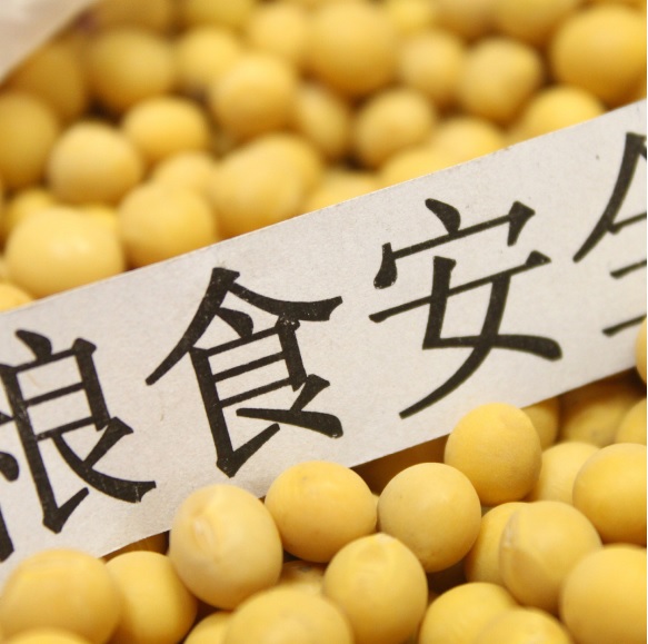 J9¼¯ÍÅ-¹ú¼ÊÕ¾¹ÙÍø