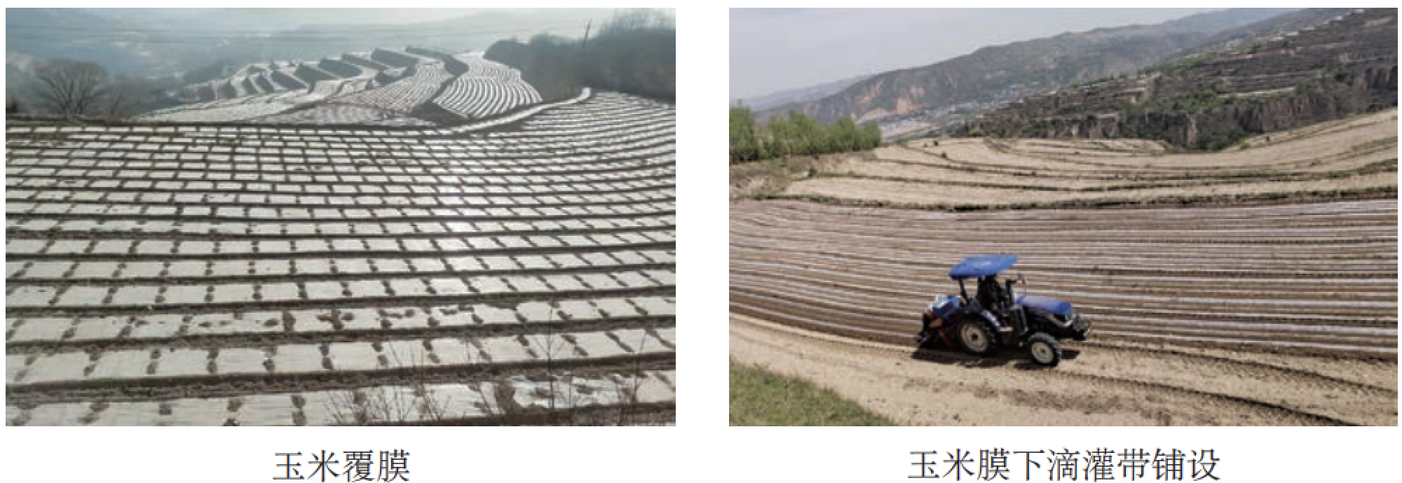 J9����-����վ����